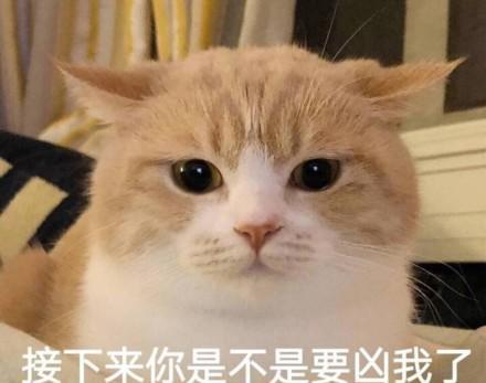 src=http_%2F%2Fn.sinaimg.cn%2Fsinacn04%2F787%2Fw440h347%2F20180725%2F5fc6-hftenia0102640.jpg&refer=http_%2F%2Fn.sinaimg.jpg
