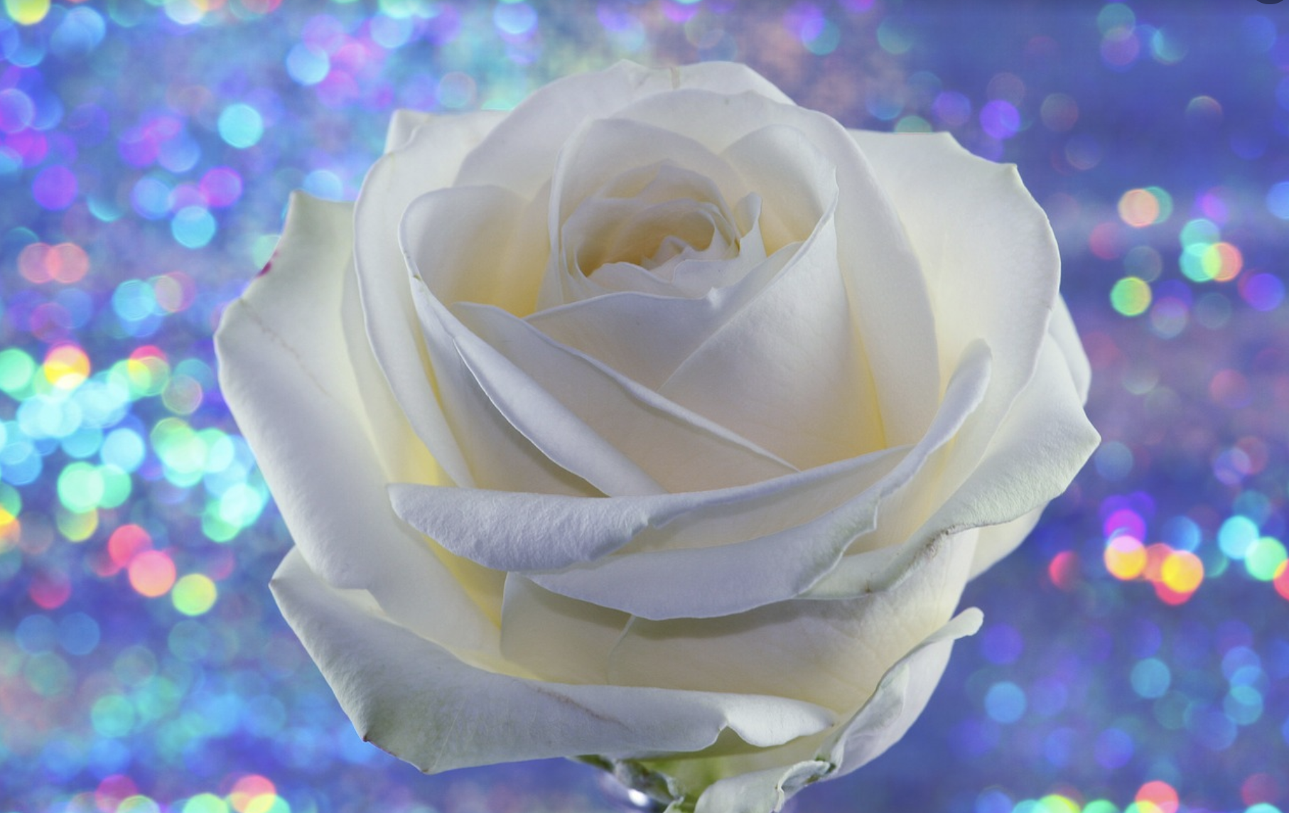 WX20220219-192728@2x.png