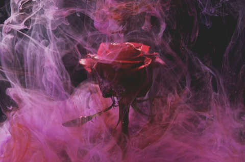 WX20220424-174419@2x.png