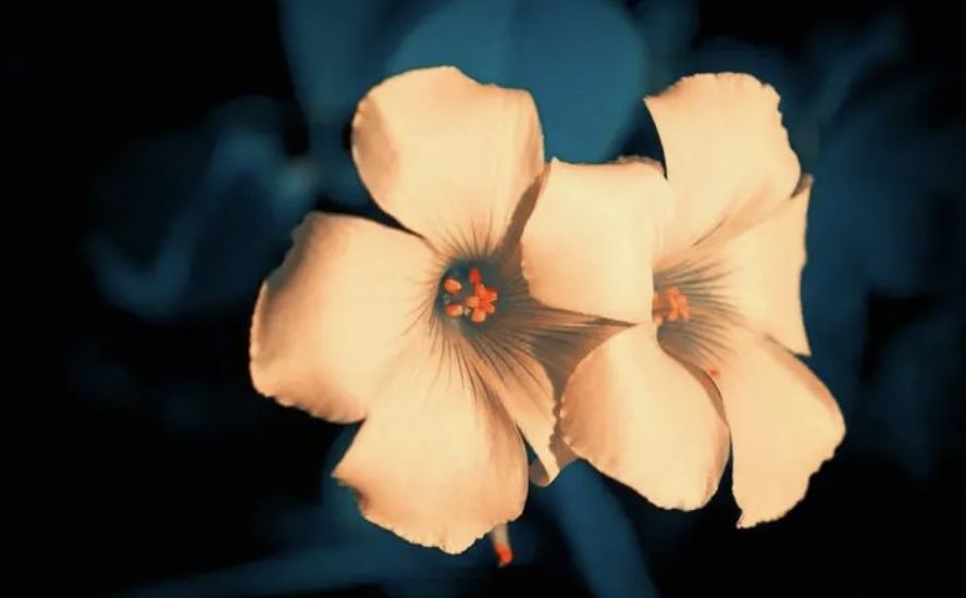 WX20220723-180753@2x.png