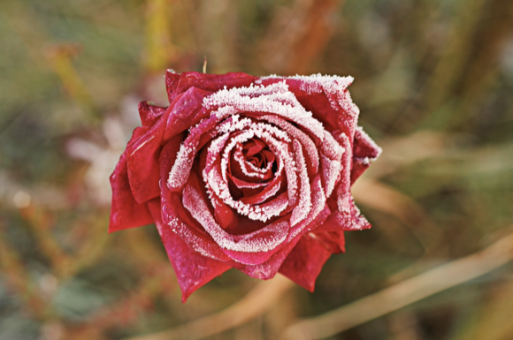 WX20230727-145725@2x.png